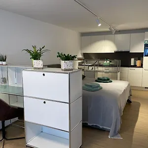 Apartment Gocki, Zürich